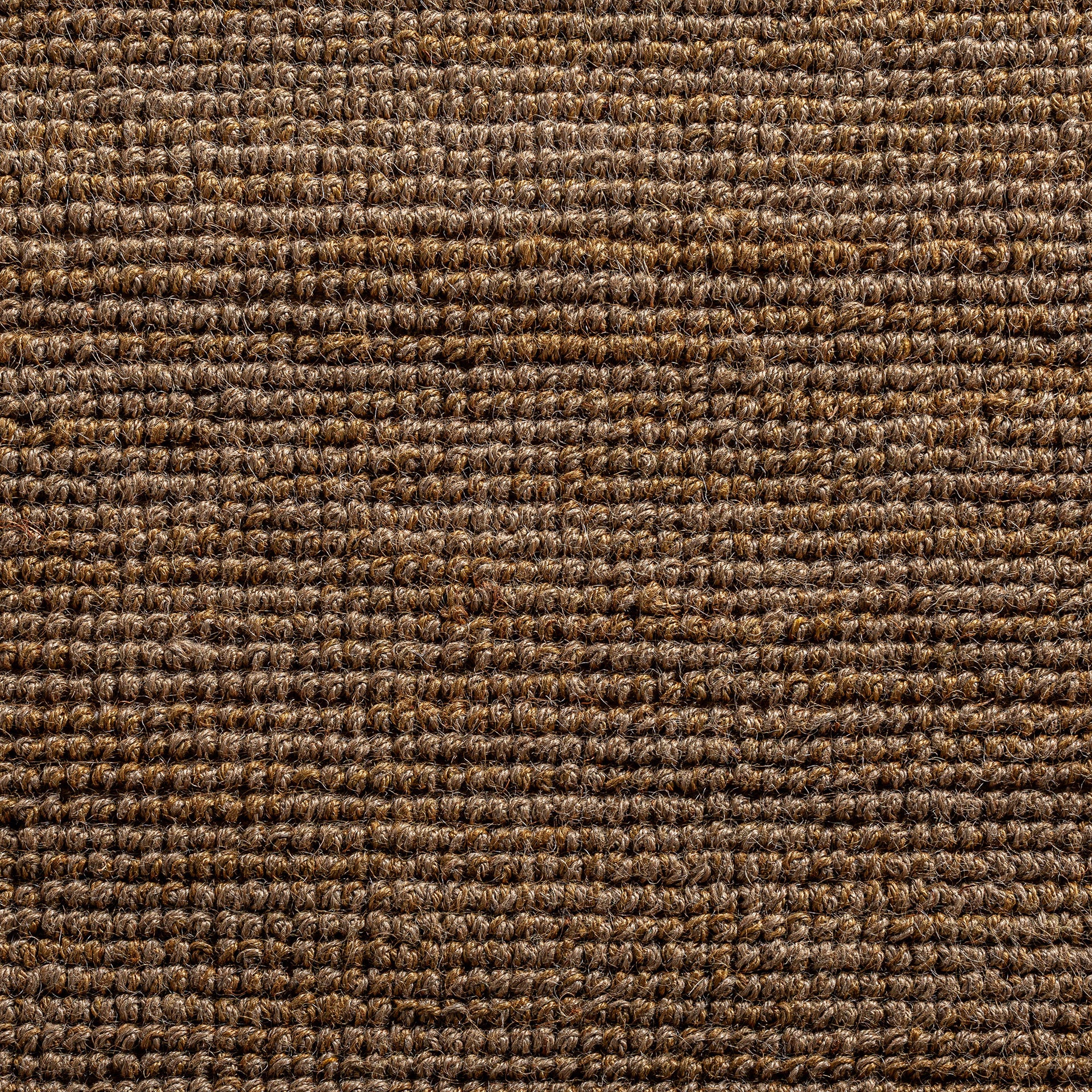 TISH CARPET